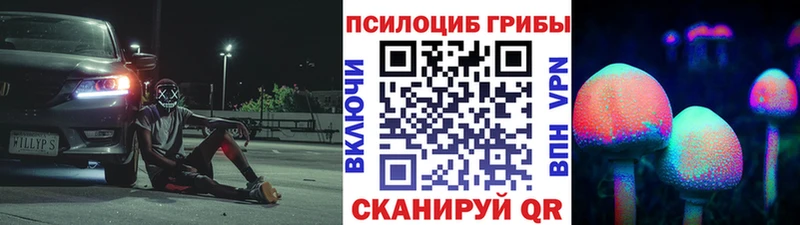 Галлюциногенные грибы Psilocybe  Плёс 